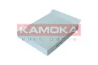 Filtras salono F423401