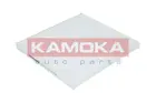 Cabin Filter F415101