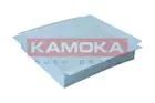Cabin Filter F426701