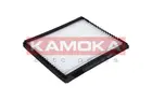 Cabin Filter F405301