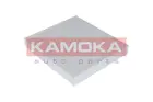 Cabin Filter F401001