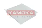 Cabin Filter F410801
