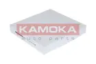 Cabin Filter F412701