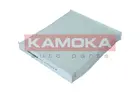 Cabin Filter F420801