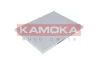 Cabin Filter F403001