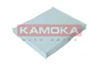 Cabin Filter F420001