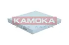 Cabin Filter F427301