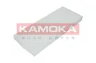 Cabin Filter F409301