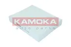 Filtras salono F419001