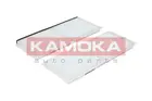 Cabin Filter F413101