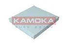 Cabin Filter F421901