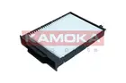 Cabin Filter F414101