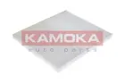 Cabin Filter F412501