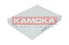 Cabin Filter F405601