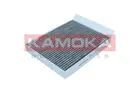 Filtras salono F521801