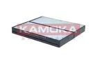 Cabin Filter F423001