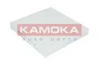 Cabin Filter F411501
