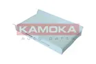 Cabin Filter F422901