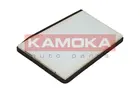 Cabin Filter F404701