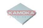 Cabin Filter F420301
