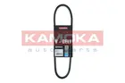 Alternator belt 7010103