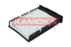 Cabin Filter F407301