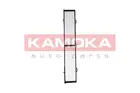 Cabin Filter F404401