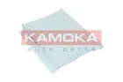 Cabin Filter F419101