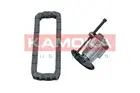 Engine timing chain kit 7001554