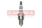 Ignition plug 7090521