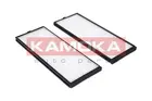 Cabin Filter F413201