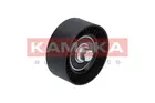 Guolis atraminis (parazitinis) R0265