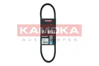 Power steering belt 7010202