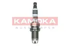 Ignition plug 7100504