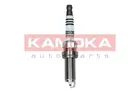 Ignition plug 7090530