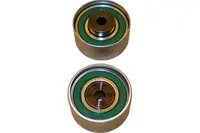 Guolis atraminis (parazitinis) DID-4502
