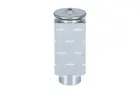 Conditioning system valve 38778