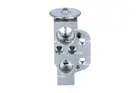 Conditioning system valve 38755