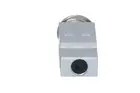 Conditioning system valve 38363