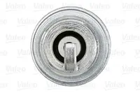 Ignition plug 246856