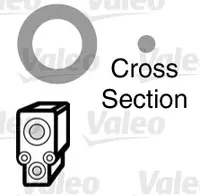Radiator conditioner 509183
