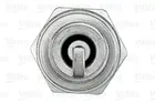 Ignition plug 246882