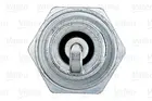 Ignition plug 246894