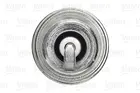 Ignition plug 246855