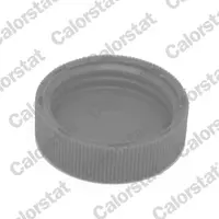Cover of expansion cistern RC0184