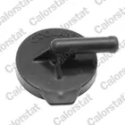 Cover of expansion cistern RC0178