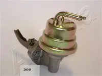 Fuel pump 05-03-300