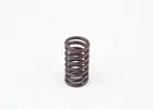 Front spring 2 414 619 010