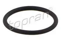 Nozzle gasket 116 555