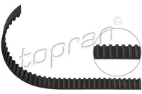 Distribution belt 201 204